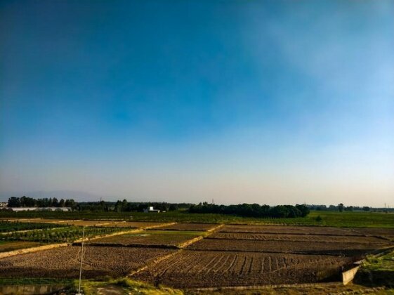 Bhatia's - Photo4