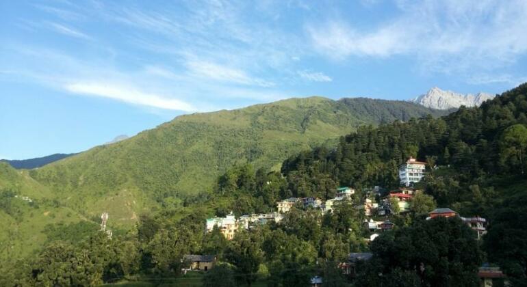 Backpackers Inn Mcleodganj - Photo5