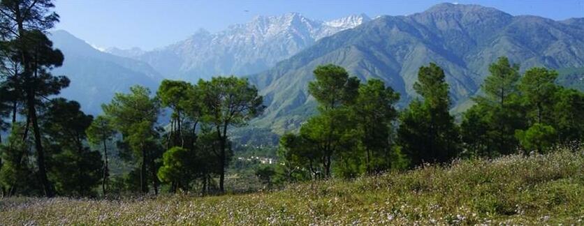 Club Mahindra Dharamshala - Photo5