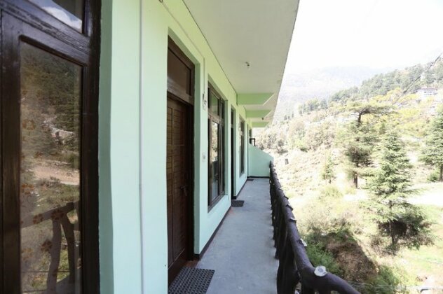 Pine spring - Photo3