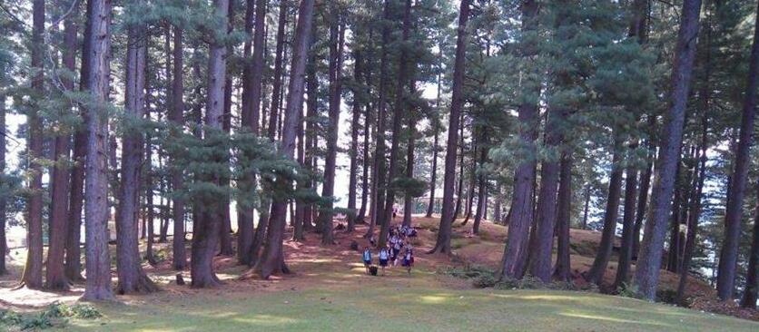 PY Resort - Photo2