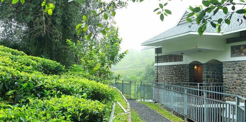 Misty Mountain Plantation Resort - Photo4