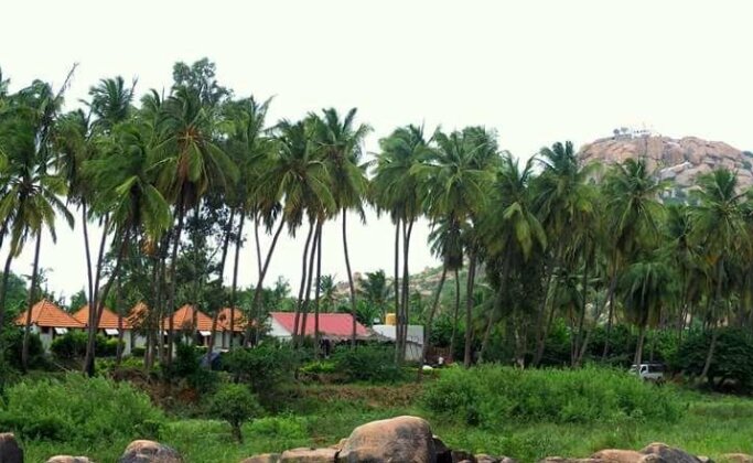 Shanti Dhama - Photo4