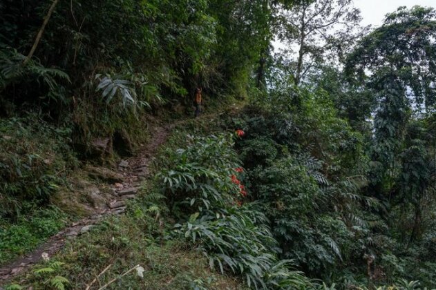 NotOnMap - Jhafall Homestay - Photo4
