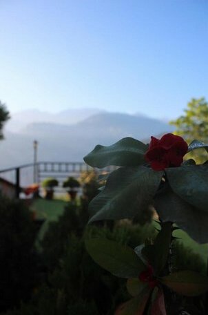 Tranquila Cottage - Photo5