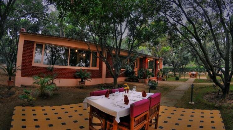 Baghaan Orchard Retreat - Photo5
