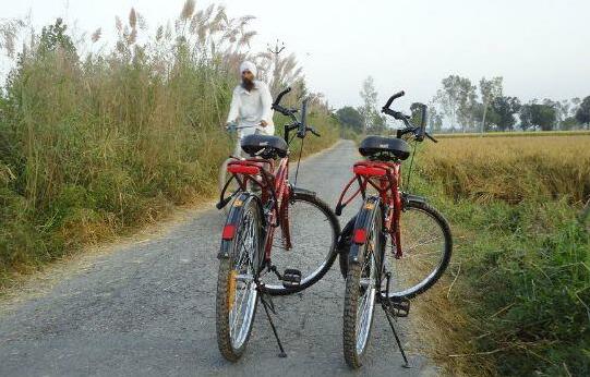 Punjabiyat Near Amritsar - Photo5
