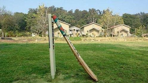 Corbett Tiger Den Resort Ramnagar - Photo4