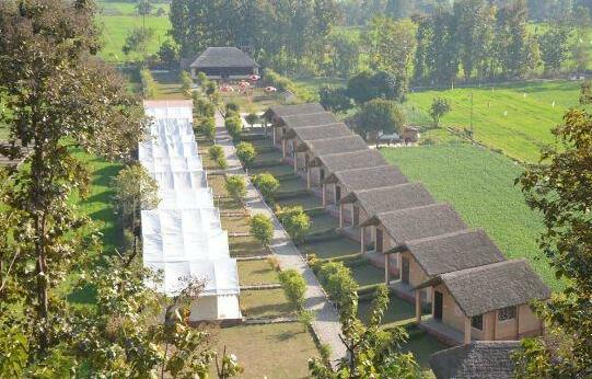 Jungle Eco Resort