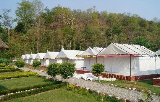 Jungle Eco Resort - Photo3