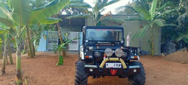 Banana Farm House