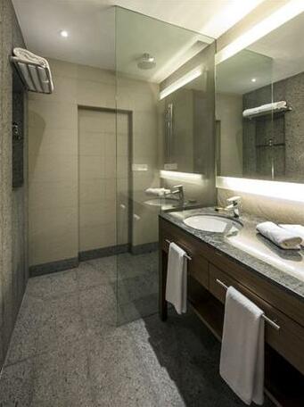 Hyatt Place Hampi - Photo4