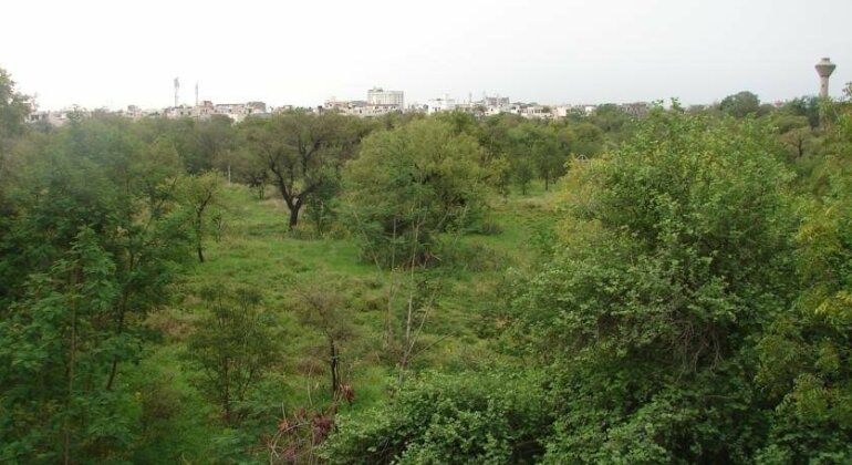 Colonel's Homestead Bed & Breakfast Jaipur - Photo5