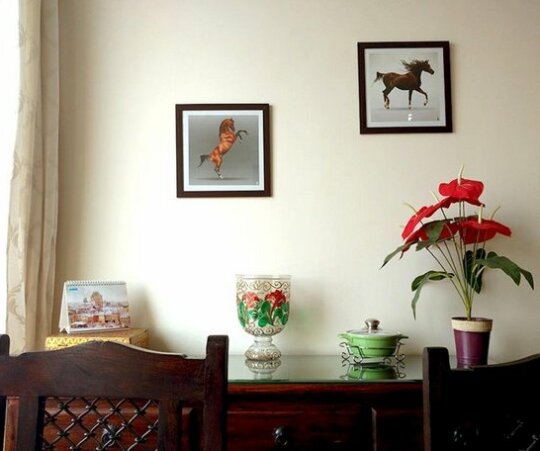 Jaipur Service Apartment - Photo4