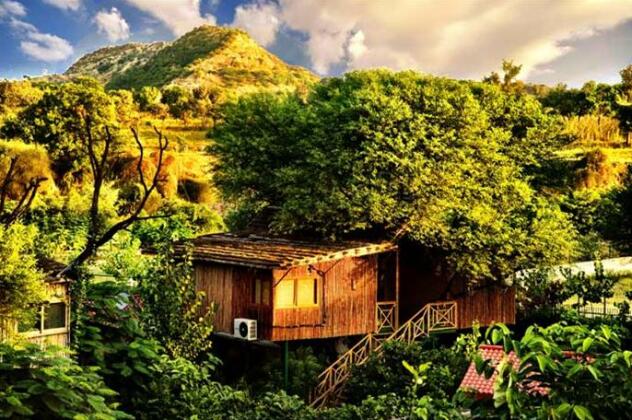 The Tree House Resort - Photo4