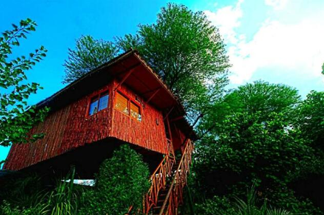 The Tree House Resort - Photo5