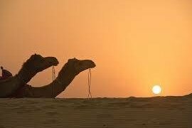 Golden Paradise Resort - Photo2