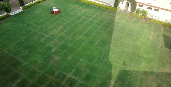 Hotel Vishal International - Photo2