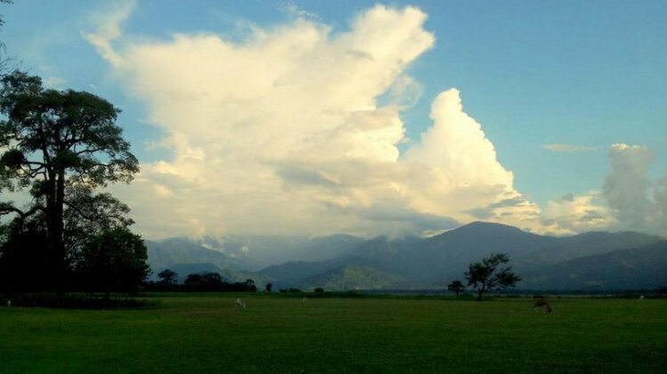 Dam Dim Tea Residency - Photo3