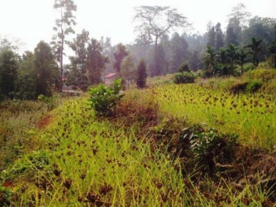 Petrichor Farm - Photo4