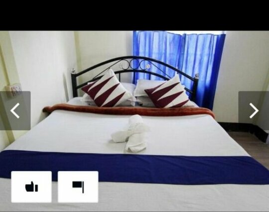 Whitebark Homestay Homes - Photo3