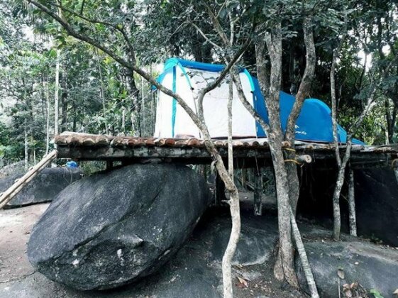 Evergreen Tent Stay & Trekking - Photo5