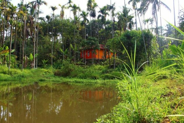 Himadri Cottages Wayanad - Photo4