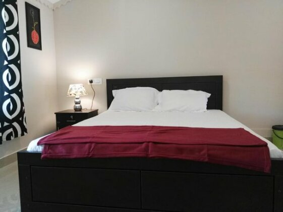 Mellow Shack - Photo3