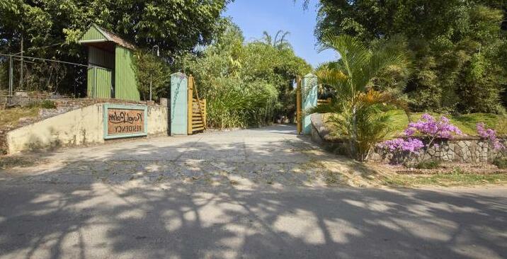 Royal Palm Resort - Photo4