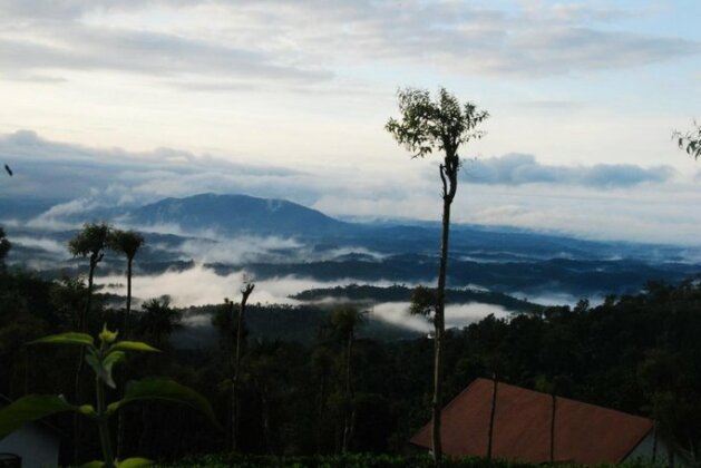 Tea Terrace Vythiri - Photo3
