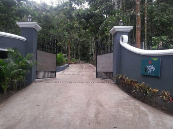 Wayanad Coffee Trail - Photo5