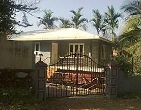 Wayanad Palms