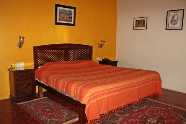 Wild Chalet Resort - Photo3