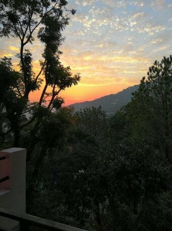 Cloud 9 Homestay Kasauli - Photo2
