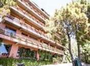 Pine Drive Resort