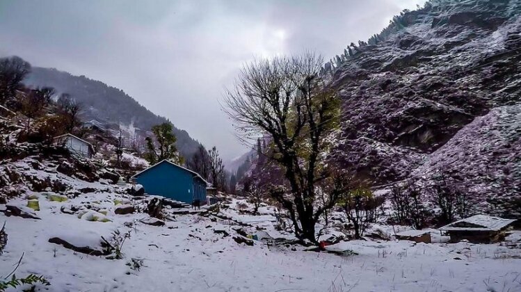 AYOYA Malana - Shiva Cafe - Photo4