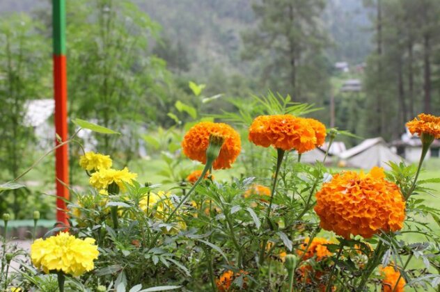 Camp The Parvati River Bank - Photo4