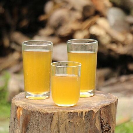 Padha Family Guest House - Photo4