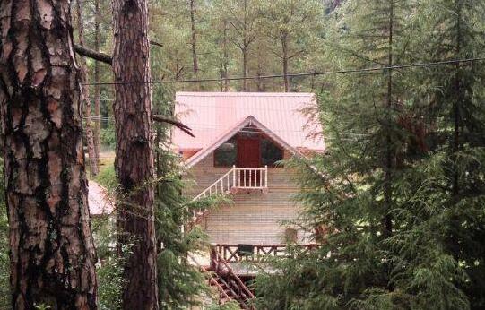 Parvati Woods Cottage - Photo3