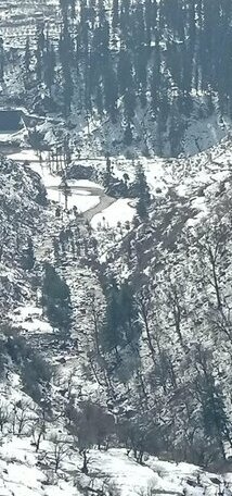 Sunrise Guest House Kasol - Photo3