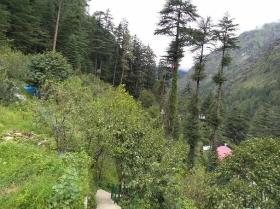 Thakur cottage homestay - Photo2