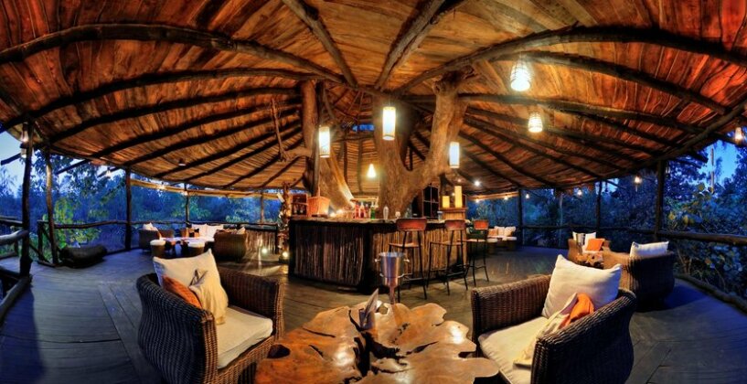 Tree House Hideaway