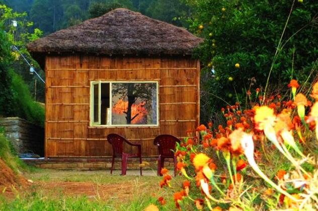 Himalaya Darshan Resort - Photo5