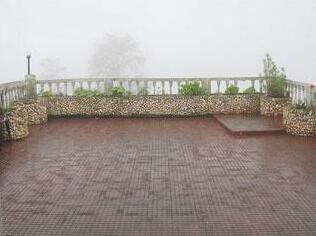 Hotel Prashant Kausani - Photo3