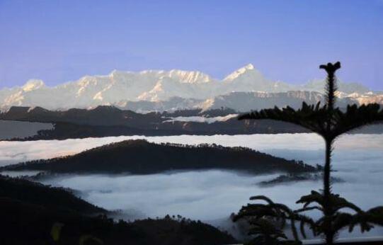 Pratiksha Himalayan Retreat - Photo2