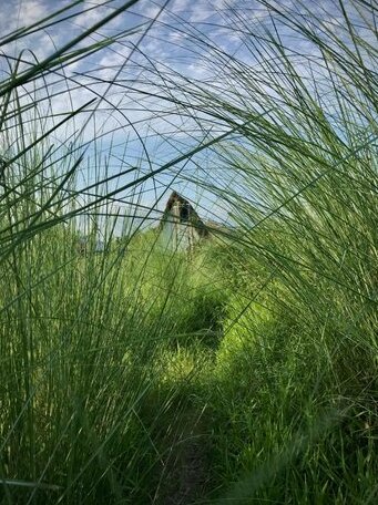 Sol Village - Photo5