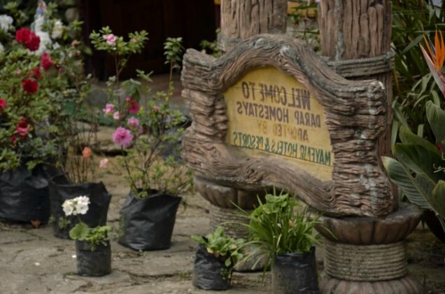 Cherry Village Resort - Photo4