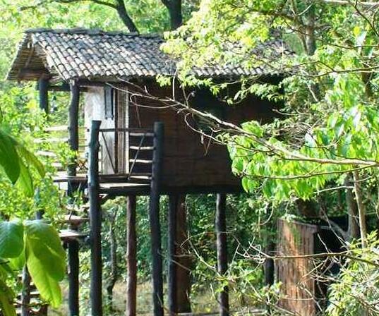 Hermitage Farmstay - Photo2