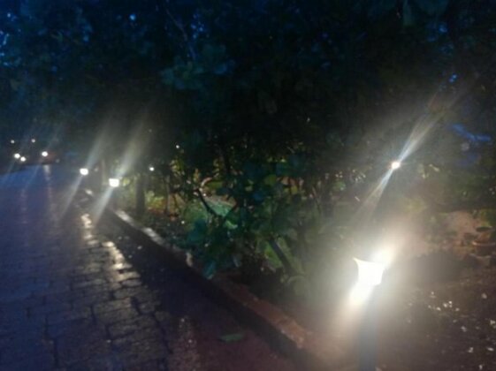 The Orchard Resort - Photo5