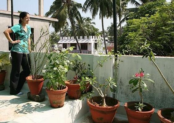 Noah's Ark Homestay - Photo4